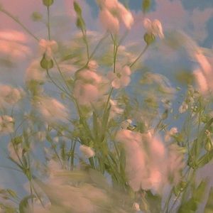 Meet your Posher, Mia